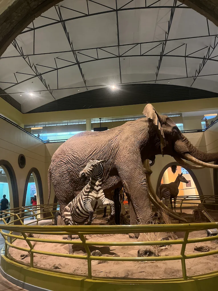 Life-sized replica of Ahmed, the legendary Marsabit elephant, at the entrance of the Nairobi National Museum.