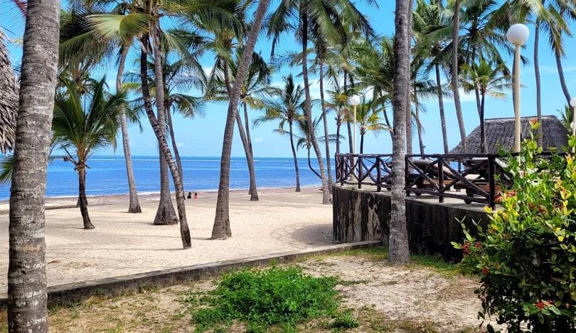 Palm trees surrounding a luxury infinity pool at a beach resort in Malindi, Kenya.
